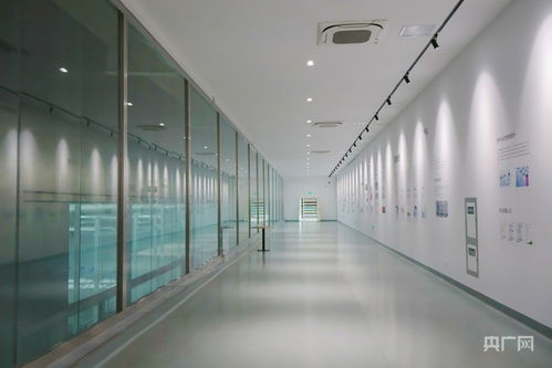 青聽經濟之聲丨動能集聚添活力 西引力澎湃升級 技術服務